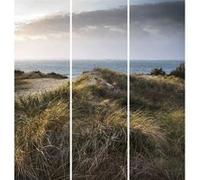 Triptyque sur toile dune vue mer 90x97 cm CEANOTHE 90x97 cm Bleu - Fabriqué en France Bleu G