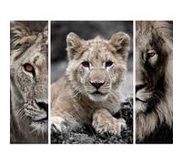 Triptyque sur toile famille de lions 125x97 cm CEANOTHE Décoration Murale Art Décoratif Muraux Peinture Imprimée en HD Salon Chambre Bureau Fabriqué en France Marron G