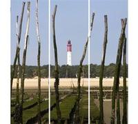 Triptyque sur toile phare Cap Ferret 90x97 cm CEANOTHE 90x97 cm Multicolore - Fabriqué en France Multicolore G
