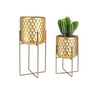 TRIROCKS Set de 2 Jardinières Métalliques Modernes avec Support 31cm & 45cm, Pots de Fleurs pour Intérieur/Extérieur, Décor Cuisine, Salon, Balcon, Patio (Or)