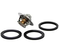 Triscan Thermostat d'eau 8620 5491