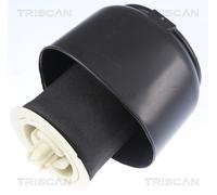 TRISCAN 8720 11201 Ressort pneumatique, châssis pour BMW