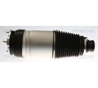 TRISCAN 8720 81101 Ressort pneumatique, châssis pour TESLA