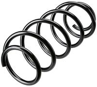 Triscan 8750 15153 Ressort de suspension
