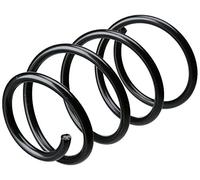 Triscan 8750 1841 Ressort de suspension