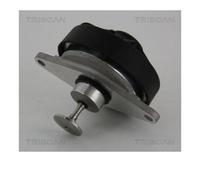 Triscan 8813 24202 Vanne AGR Pour Opel Vectra B CC J96 Vectra B Caravan J96
