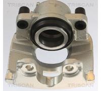 TRISCAN 8175 10111 Étrier de frein