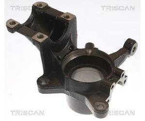 TRISCAN Fusée d'essieu (suspension de roue) 850015701