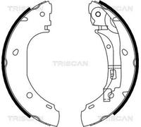 TRISCAN Jeu de mâchoires de frein arrière 8100 10007