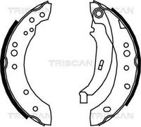 TRISCAN Jeu de mâchoires de frein arrière 8100 25005