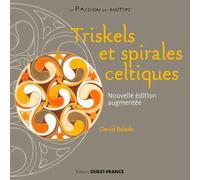 Triskels et spirales celtiques à connaître et créer