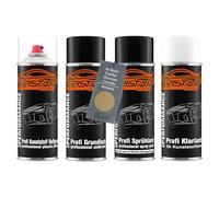 TRISTARcolor Ensemble de bombes de peinture Peinture voiture pour pare-chocs en plastique pour Buick/Cadillac/Chevrolet/Corvette WA3499 Riviera Gold Metallic