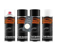 TRISTARcolor Ensemble de bombes de peinture Peinture voiture pour pare-chocs en plastique pour Scania 1366386 Ivory White/White 95