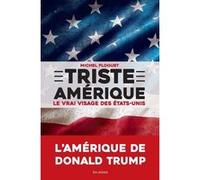 Triste Amérique - 2e édition Michel Floquet (Auteur)