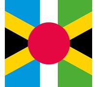 Tristesse Contemporaine – United – Vinyle 33 tours (Import)