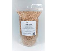 Triticale traité pour semer 5 kg céréales hybrides de blé et de seigle.