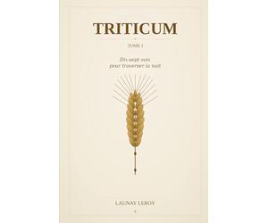 TRITICUM: Voyage à la lisière de l'éternité,Dix-sept rencontres pour ne plus craindre la fin. I Traverser le voile : récit d'une moisson spirituelle