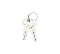 Triton RAX-MS-X10-X1 Clé de rechange standard