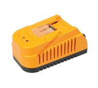 Triton T20 Chargeur rapide 1 heure T20BC