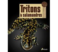 Tritons Et Salamandres