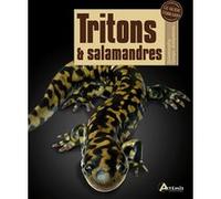 Tritons Et Salamandres