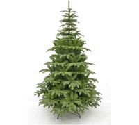 Triumph Tree Arbre de Noël artificiel Aurora - 135x135x215 cm - PVC - Vert