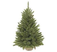 Triumph Tree Forest Frosted Sapin de Noël Artificiel en Toile de Jute - 90 x 62 cm - Vert