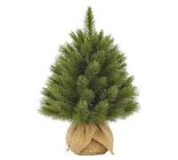 Triumph Tree - Forest Frosted Sapin de Noel avec Toile de Jute Vert Tips 61 - h45xd36