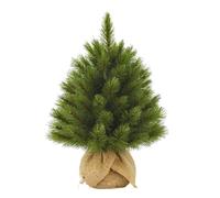 Triumph Tree Sapin de Noël Artificiel Forest Frosted H45 x D36 cm - Arbre dans S