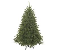 Triumph Tree 398726 Sapin Bristle Cone Hauteur 185 cm, diamètre 119 cm, Tips 686, Vert, 123