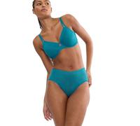 Triumph Women's Signature Sheer Maxi EX Briefs, Arizona Blue, 40