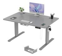 TRIUMPHKEY Bureau Électrique Réglable en Hauteur 120 x 80 cm, 3 Mémoires, avec Port de Recharge USB, Électrique pour Ordinateur, Siège et Position Debout - Gris