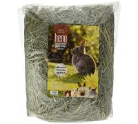 Trixder 100% Naturel spécialités Foin avec Pissenlit pour Petits mammifères - 500 g