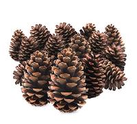 TRIXES 15pc - Décorations Cônes pin Arbre - Couronne de Noël Garland Faire Fournitures - Pot Pourri - Taille 12cm - Pinecone Craft Accessoires -Couleur Natural Brown