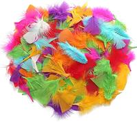 TRIXES 250 plumes colorées pour loisirs créatifs - Fournitures DIY vibrantes pour les arts et crafts des enfants - Décorations, chapeaux, bonnets, ballons et plus - Accessoire essentiel pour kit