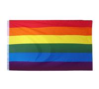 TRIXES Drapeau Arc en Ciel - Intérieur ou extérieur Drapeau Rainbow LGBT Gay Pride Festival Diversity Celebration 1,5 x 0,9 m