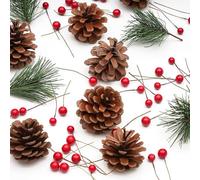 TRIXES Kit Couronne de Noël - Feuilles et Pommes de pin artificielles, Baies Rouges - DIY Décoration de Noël - Ornement créatif