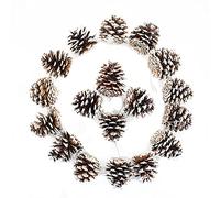 TRIXES Lot de 18 Pommes de pin suspendues à Pointe enneigée - Décorations de Noël en cônes de pin saupoudrés de Neige - Ornements de cônes de pin de Noël - Pommes de pin d'arbre - Blanc