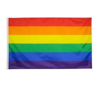 TRIXES Petit drapeau arc-en-ciel - Drapeau de la fierté LGBTQ / Bannière - Accessoires d'extérieur et d'intérieur pour mois de fierté, carnaval, festival, fête de jardin Lesbien, Gay, Bi, Trans