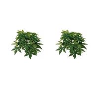 Trixie Abutilon Plante en Soie pour Reptile/Amphibien Diamètre 20 × 30 cm (Lot de 2)