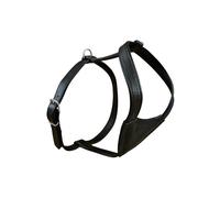Trixie Active Harnais, noir, 58-67 cm/22 mm