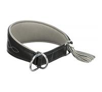 TRIXIE Active Komfort 18960 Collier pour lévriers Taille XS : Tour de Cou 21 à 26 cm/40 mm en Noir - Collier Extra Large pour très Petits Chiens, protège la région de la Gorge, avec Rembourrage