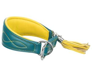 Trixie Active Komfort 18965 Collier pour lévriers Taille XS : Tour de Cou 21-26 cm/40 mm Bleu pétrole - Collier Extra Large pour très Petits Chiens - Protège la région de la Gorge, avec Rembourrage