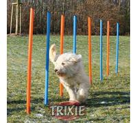 Trixie Agilité Slalom