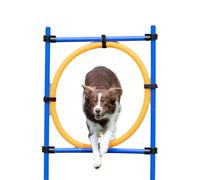 Trixie Cerceau d'agilité pour chiens 115 x 3 cm plastique