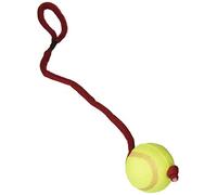 TRIXIE Balle de tennis sur corde - jouet robuste pour chien à mâcher & chasser - ø 6/50 cm lime, balle pour chien - 3479