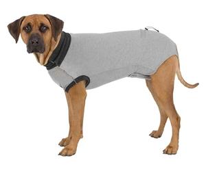 TRIXIE Body Post-opératoire, XL: 70 cm, Gris