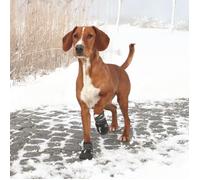 Trixie Bottes de Protection pour Chien Walker Active - Noir - M - Taille 4