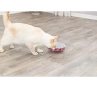 Trixie Cat Activity Rocking Maze, labyrinthe à bascule, jeu pour chats, ø 18 cm