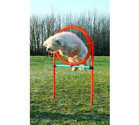 TRIXIE Cerceau d'agilité pour chiens 115 x 3cm plastique